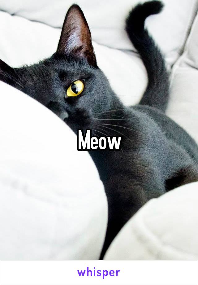 Meow