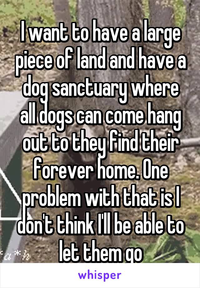 I want to have a large piece of land and have a dog sanctuary where all dogs can come hang out to they find their forever home. One problem with that is I don't think I'll be able to let them go