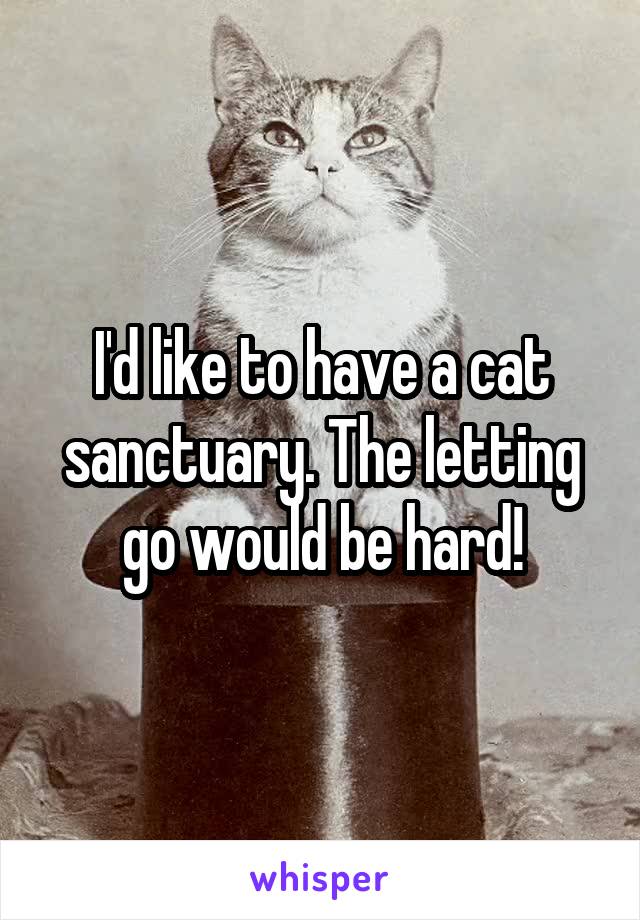 I'd like to have a cat sanctuary. The letting go would be hard!