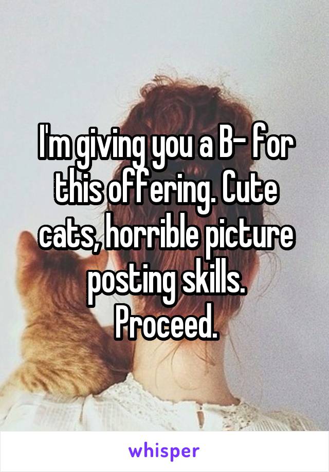 I'm giving you a B- for this offering. Cute cats, horrible picture posting skills.
Proceed.
