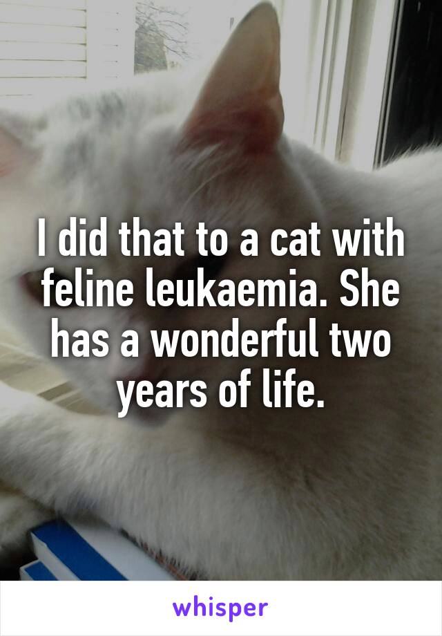 I did that to a cat with feline leukaemia. She has a wonderful two years of life.
