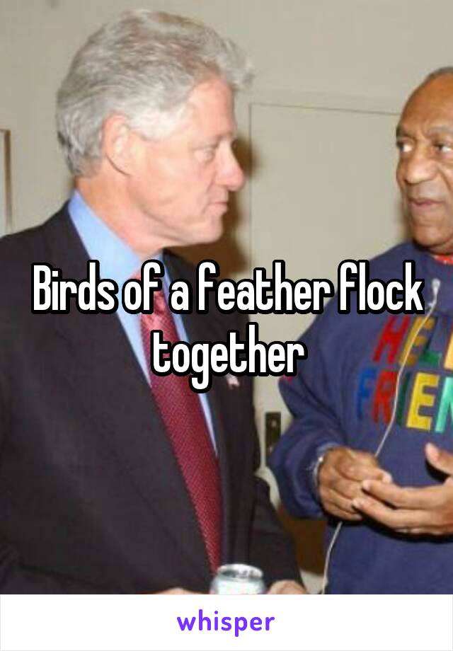 Birds of a feather flock together