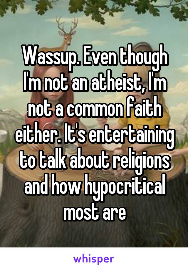Wassup. Even though I'm not an atheist, I'm not a common faith either. It's entertaining to talk about religions and how hypocritical most are