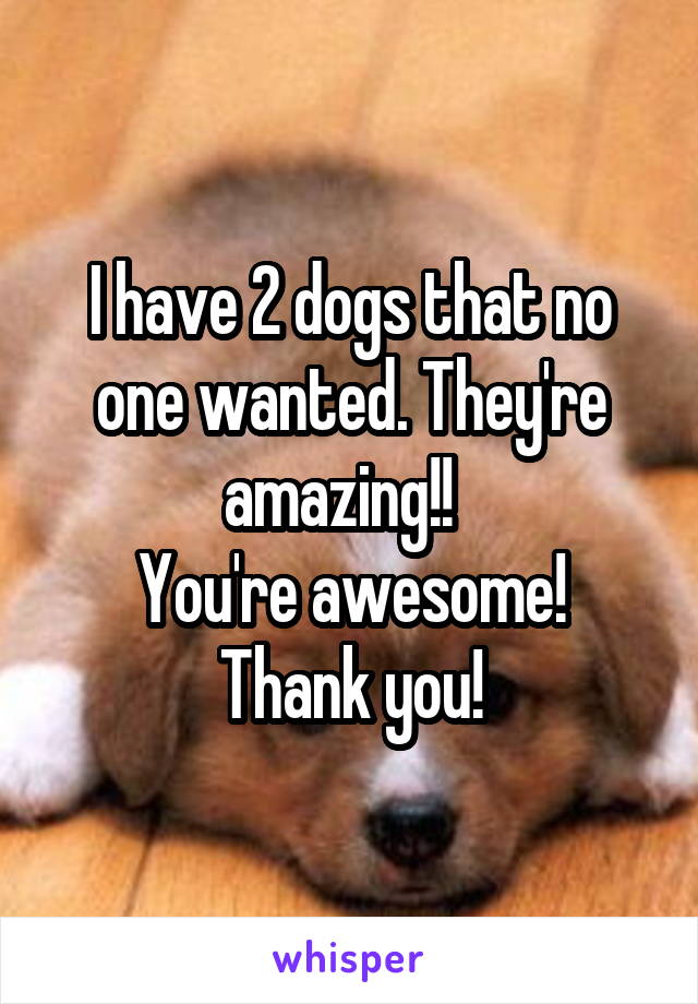 I have 2 dogs that no one wanted. They're amazing!!  
You're awesome!
Thank you!