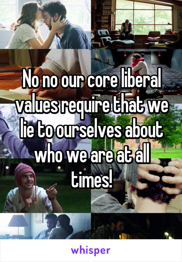 No no our core liberal values require that we lie to ourselves about who we are at all times!
