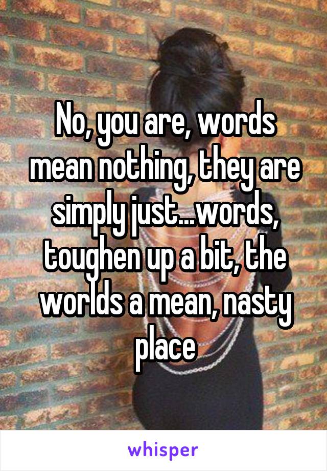 No, you are, words mean nothing, they are simply just...words, toughen up a bit, the worlds a mean, nasty place