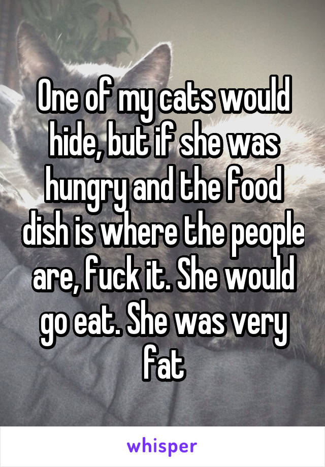 One of my cats would hide, but if she was hungry and the food dish is where the people are, fuck it. She would go eat. She was very fat