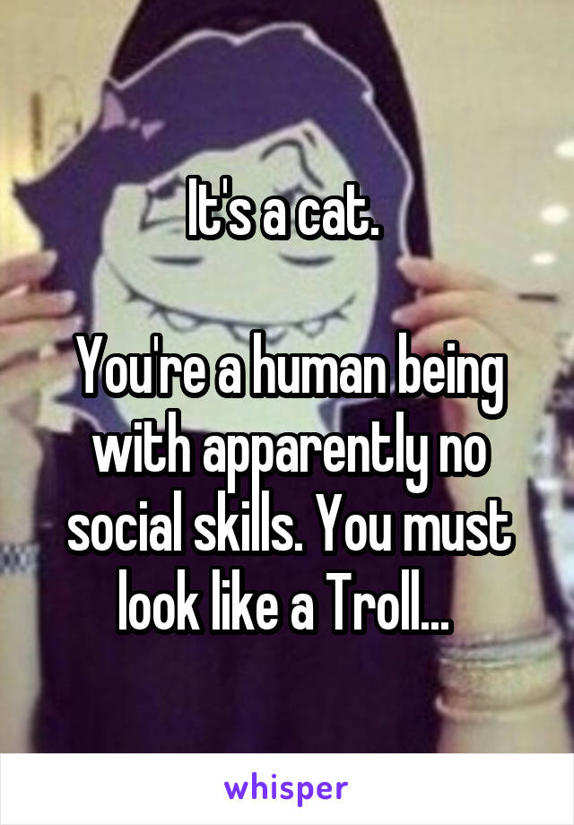It's a cat. 

You're a human being with apparently no social skills. You must look like a Troll... 