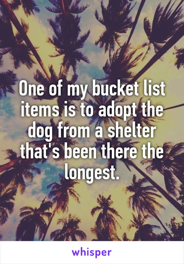 One of my bucket list items is to adopt the dog from a shelter that's been there the longest.