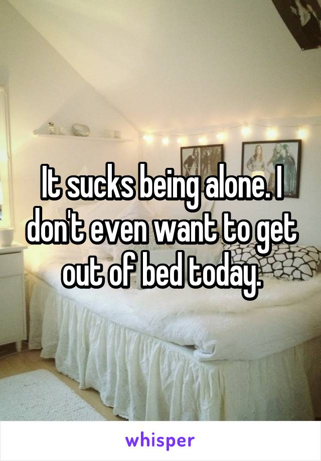 It sucks being alone. I don't even want to get out of bed today.