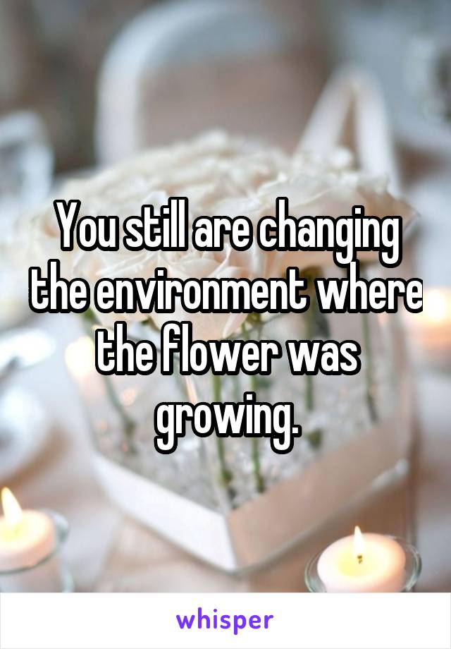 You still are changing the environment where the flower was growing.