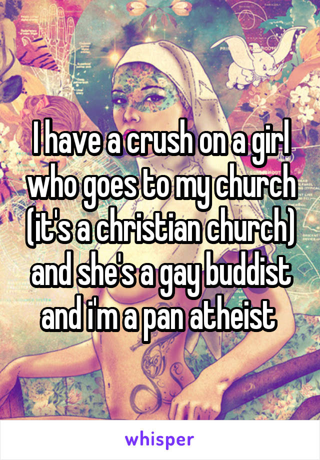 I have a crush on a girl who goes to my church (it's a christian church) and she's a gay buddist and i'm a pan atheist 