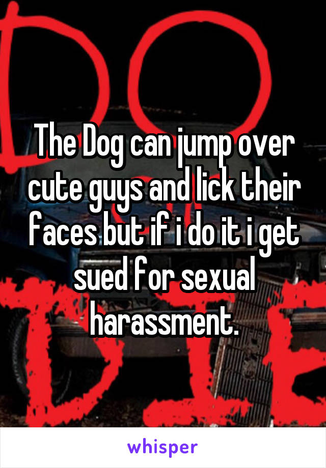 The Dog can jump over cute guys and lick their faces but if i do it i get sued for sexual harassment.