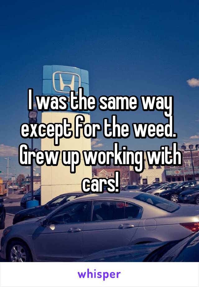 I was the same way except for the weed. 
Grew up working with cars!