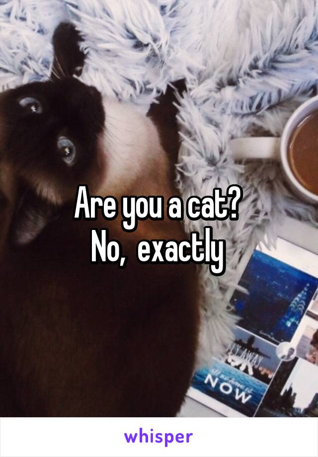 Are you a cat? 
No,  exactly 