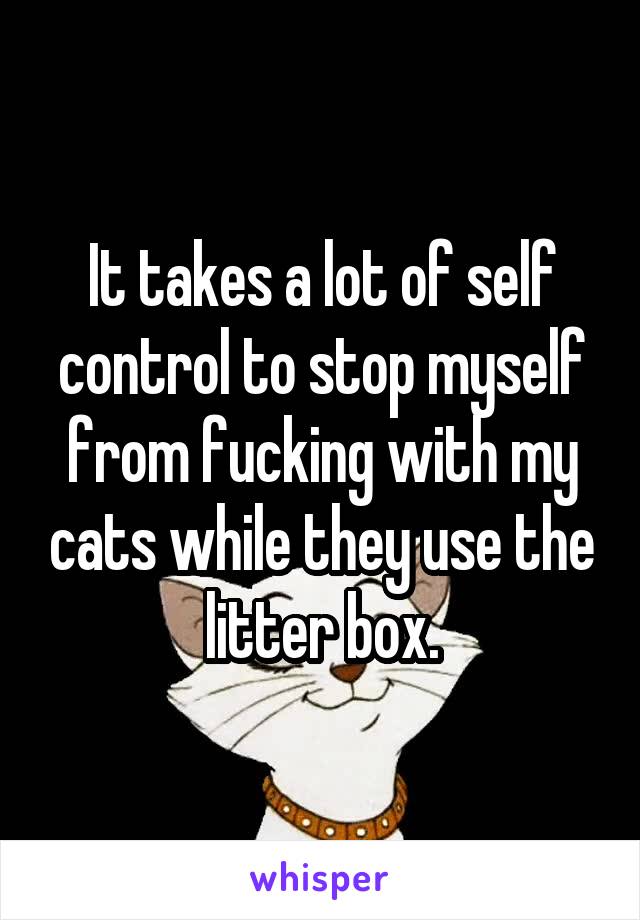 It takes a lot of self control to stop myself from fucking with my cats while they use the litter box.
