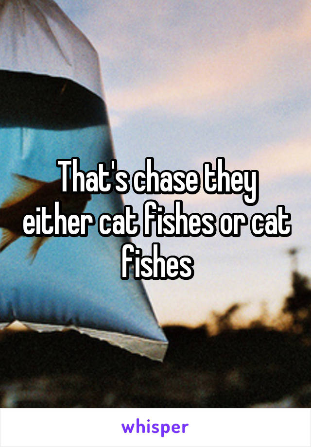That's chase they either cat fishes or cat fishes