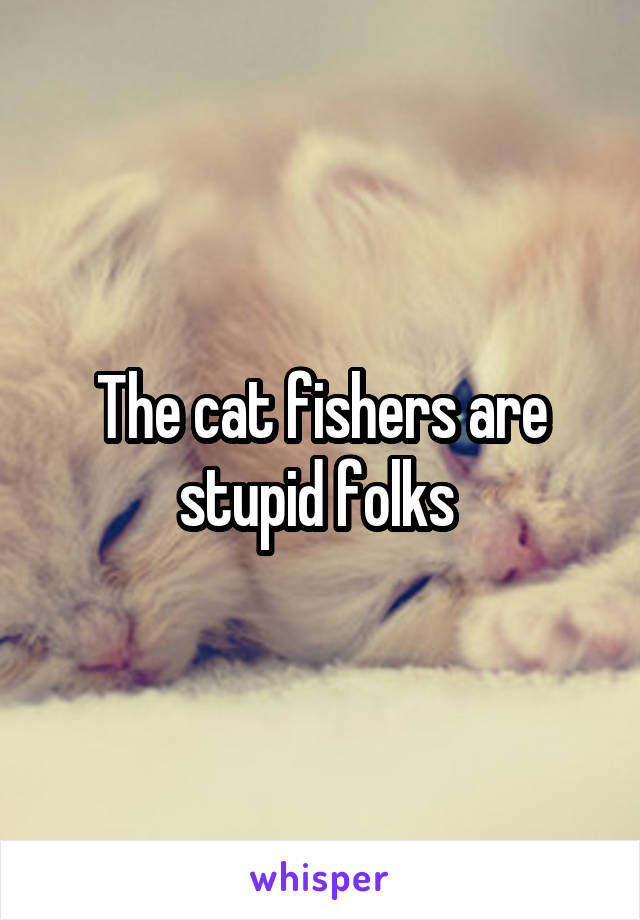 The cat fishers are stupid folks 