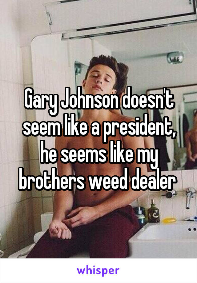 Gary Johnson doesn't seem like a president, he seems like my brothers weed dealer 