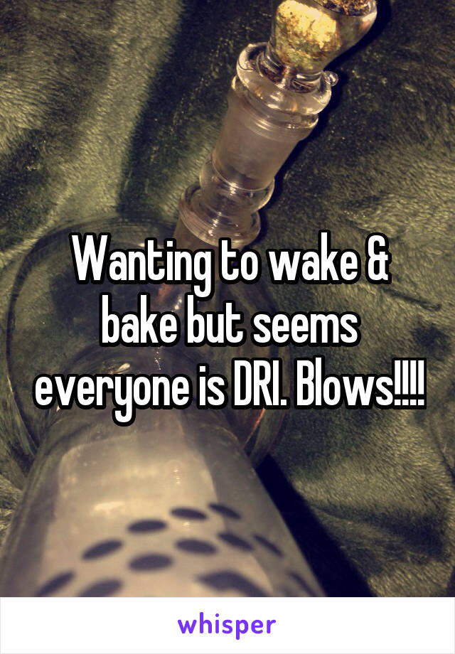 Wanting to wake & bake but seems everyone is DRI. Blows!!!!