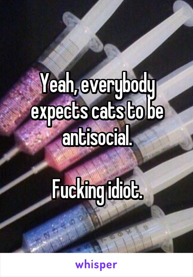 Yeah, everybody expects cats to be antisocial.

Fucking idiot.