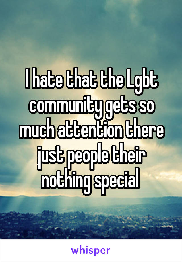 I hate that the Lgbt community gets so much attention there just people their nothing special 