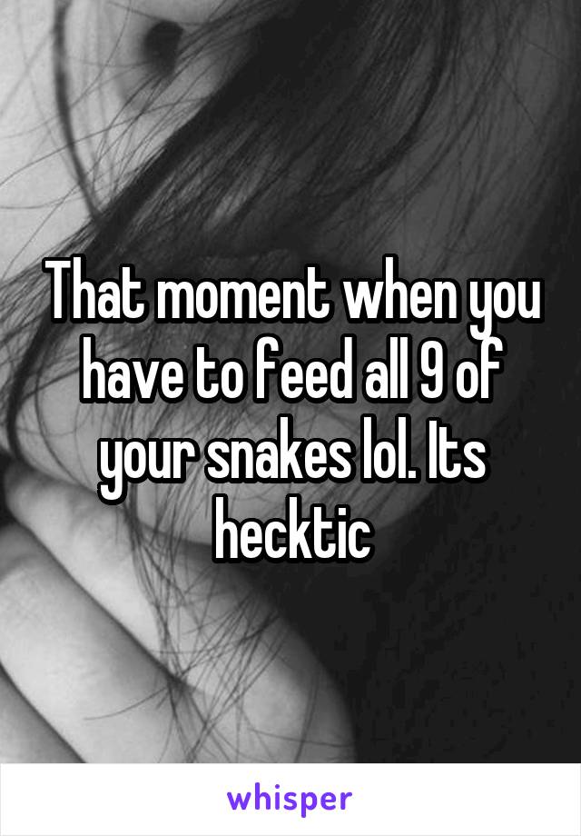 That moment when you have to feed all 9 of your snakes lol. Its hecktic