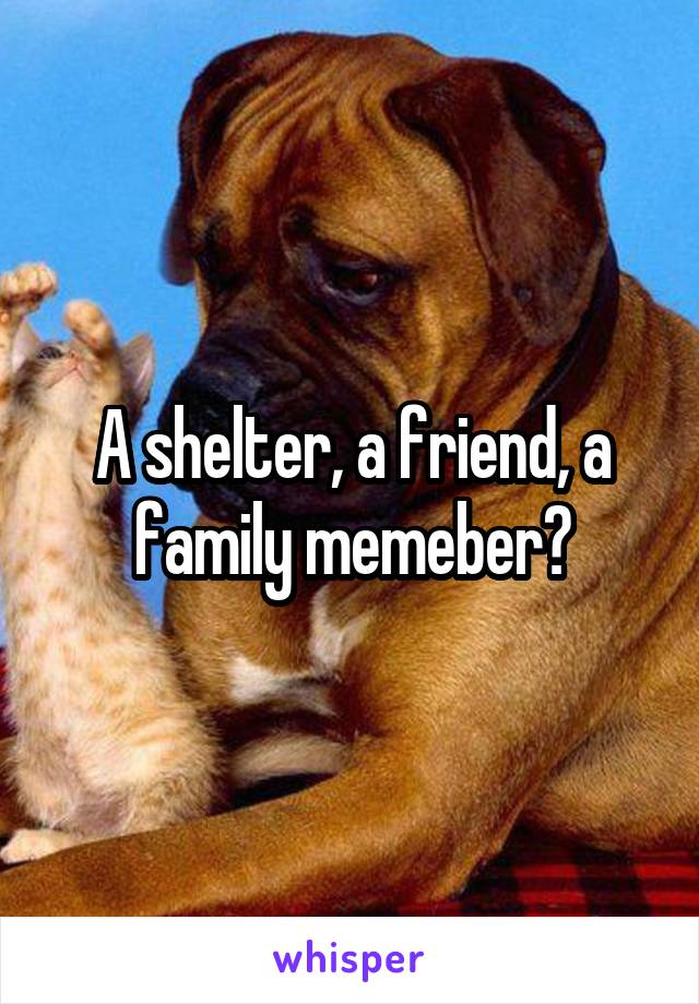 A shelter, a friend, a family memeber?
