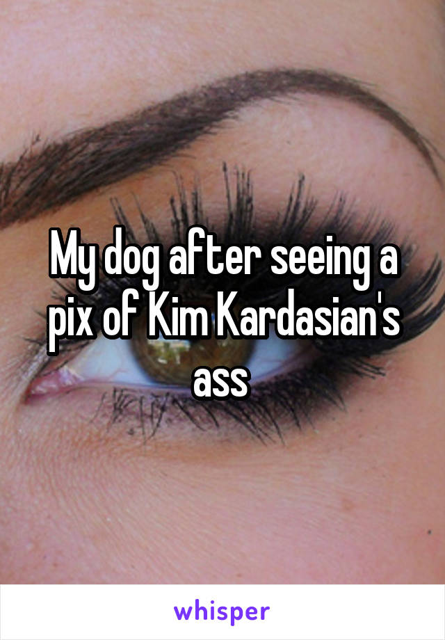 My dog after seeing a pix of Kim Kardasian's ass 