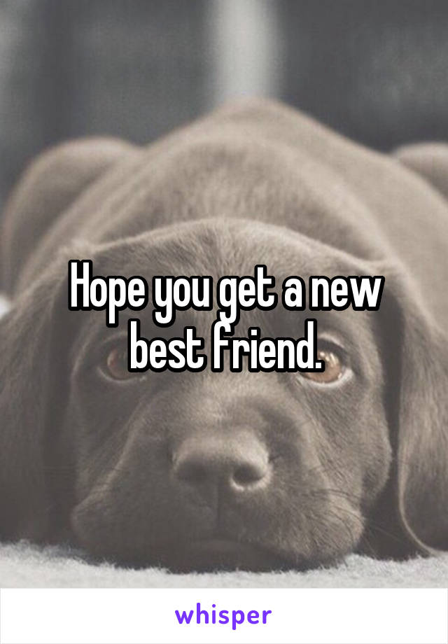 Hope you get a new best friend.