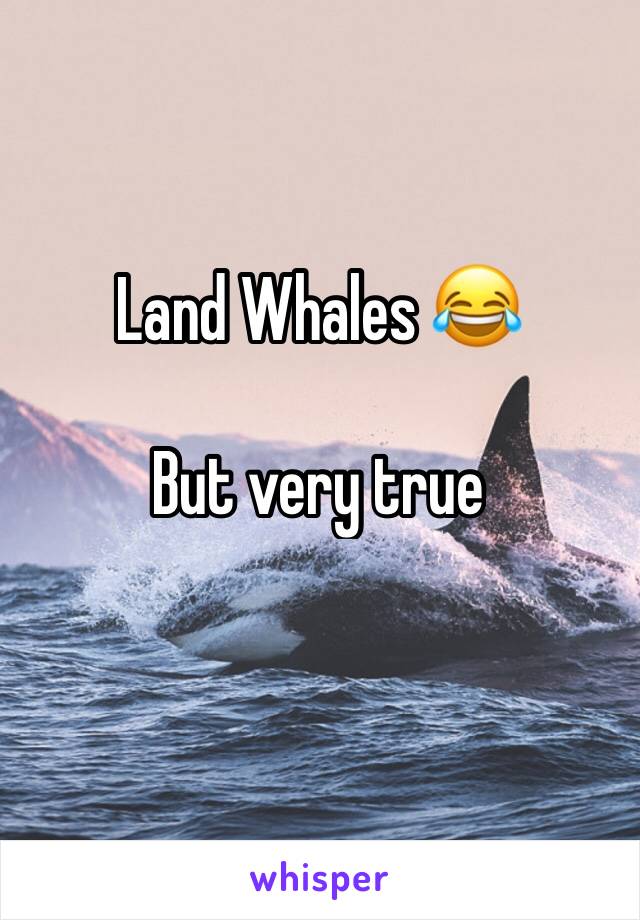 Land Whales 😂

But very true 