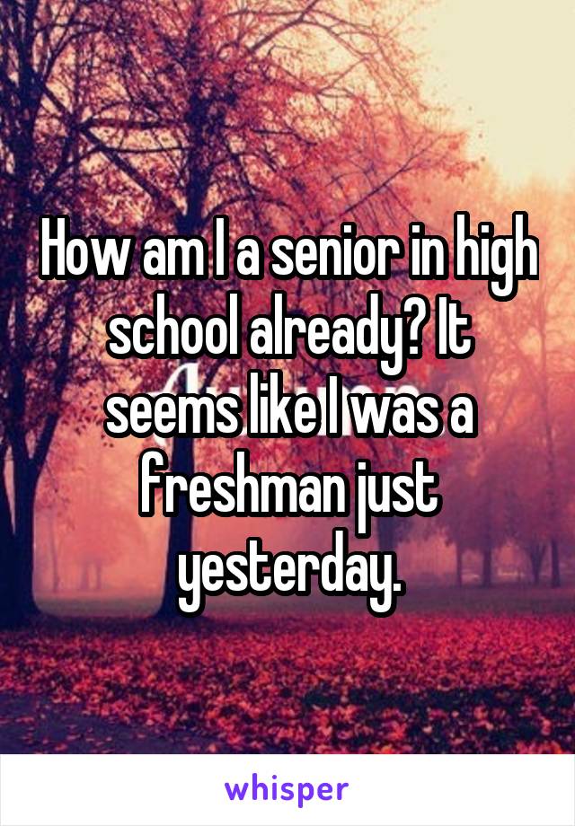 How am I a senior in high school already? It seems like I was a freshman just yesterday.