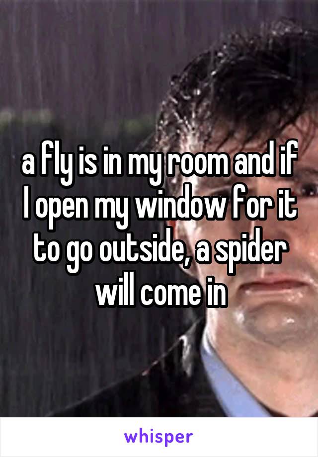 a fly is in my room and if I open my window for it to go outside, a spider will come in