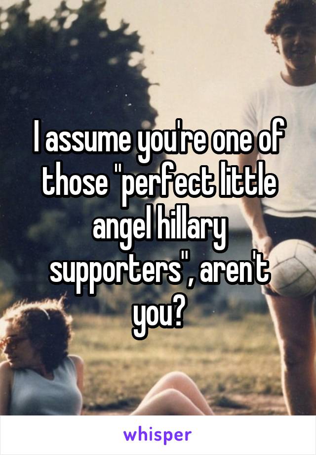 I assume you're one of those "perfect little angel hillary supporters", aren't you?