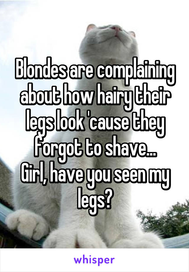 Blondes are complaining about how hairy their legs look 'cause they forgot to shave...
Girl, have you seen my legs?