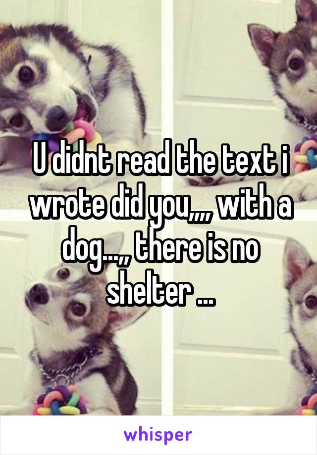 U didnt read the text i wrote did you,,,, with a dog...,, there is no shelter ...