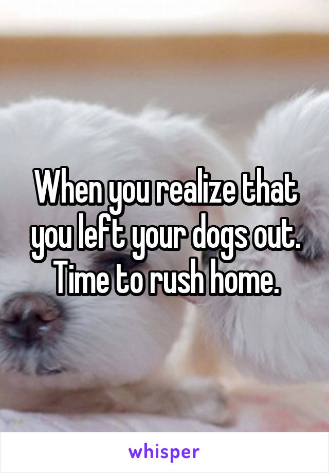 When you realize that you left your dogs out.
Time to rush home.