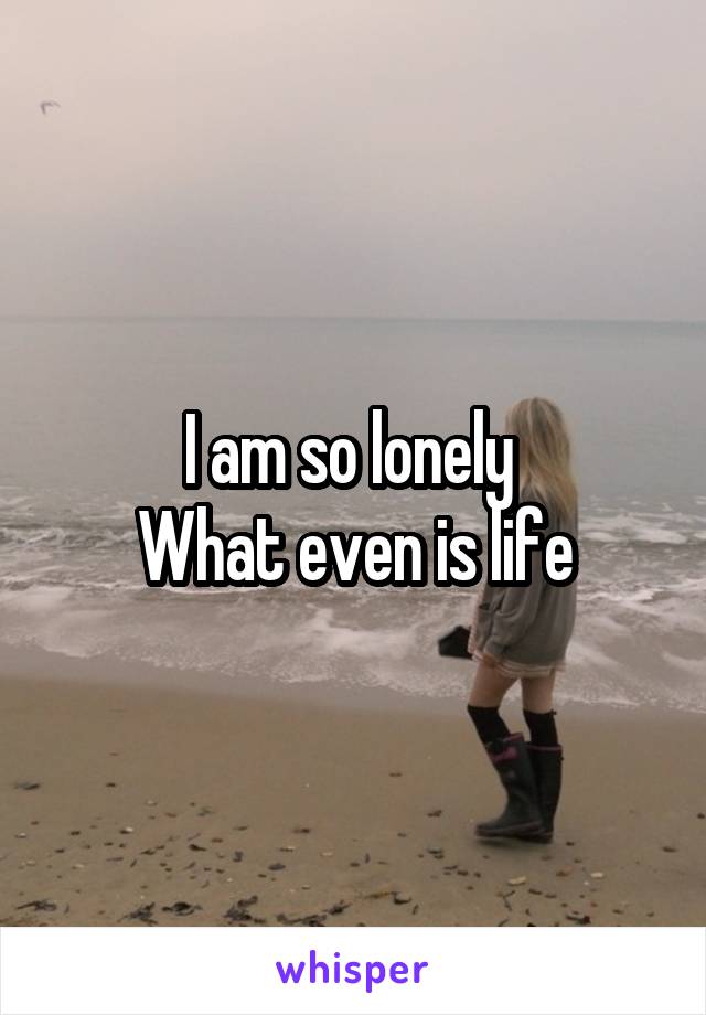 I am so lonely 
What even is life