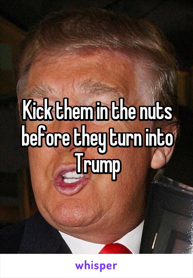 Kick them in the nuts before they turn into
Trump