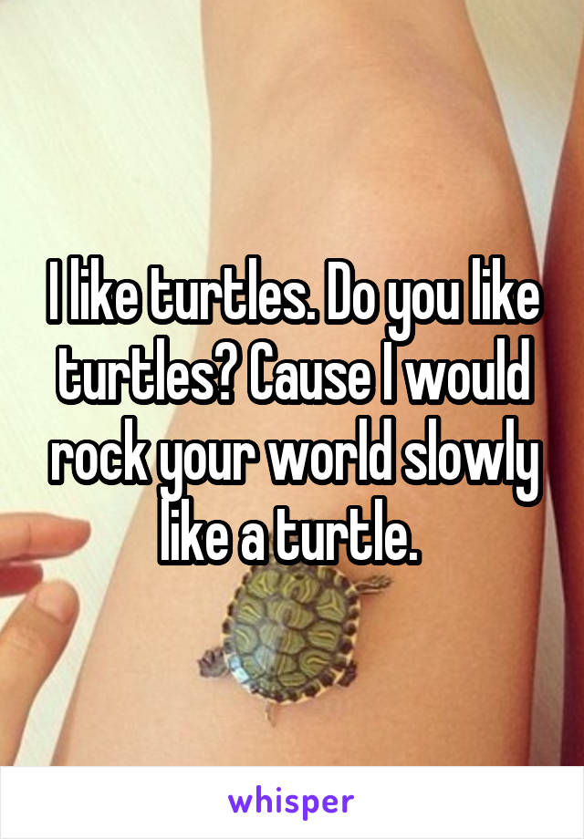 I like turtles. Do you like turtles? Cause I would rock your world slowly like a turtle. 