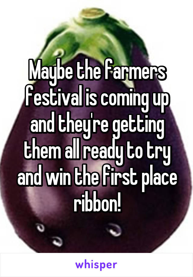 Maybe the farmers festival is coming up and they're getting them all ready to try and win the first place ribbon!