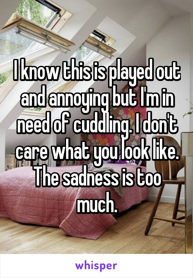 I know this is played out and annoying but I'm in need of cuddling. I don't care what you look like. The sadness is too much.