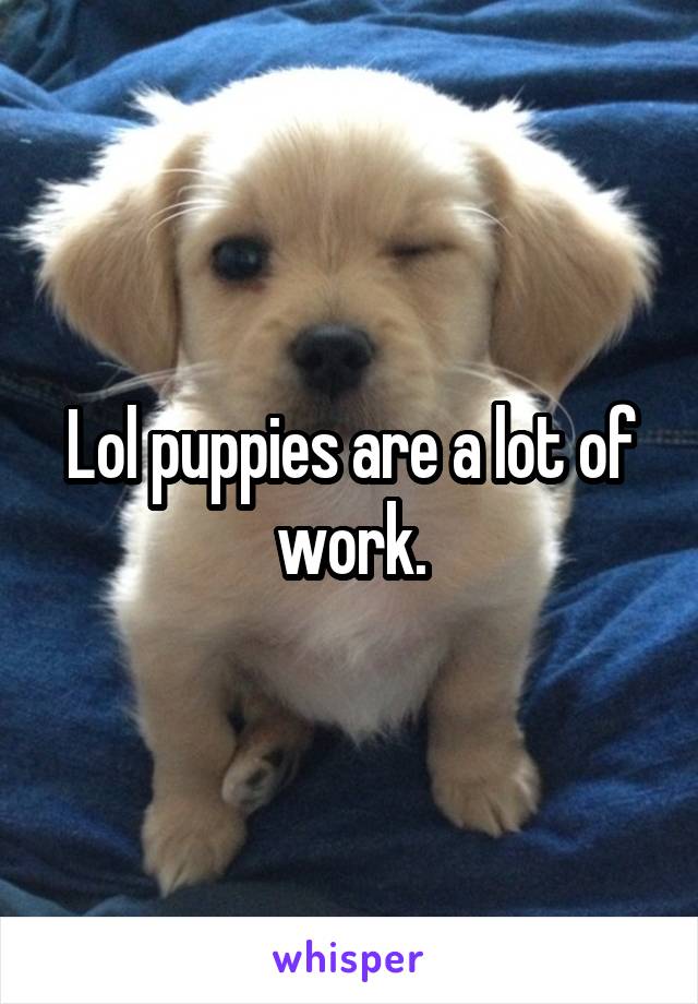 Lol puppies are a lot of work.