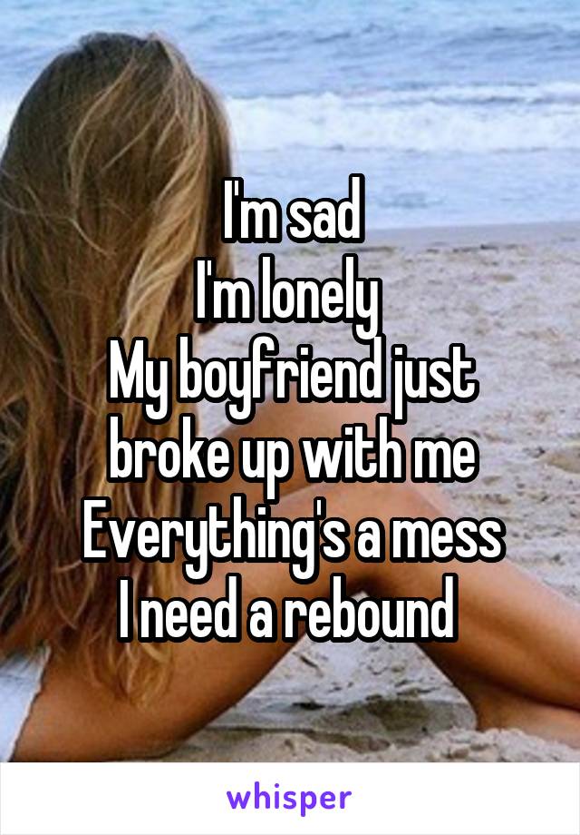 I'm sad
I'm lonely 
My boyfriend just broke up with me
Everything's a mess
I need a rebound 