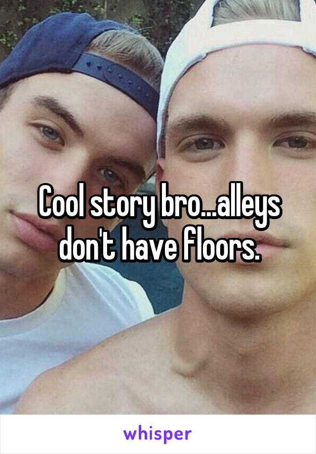 Cool story bro...alleys don't have floors.