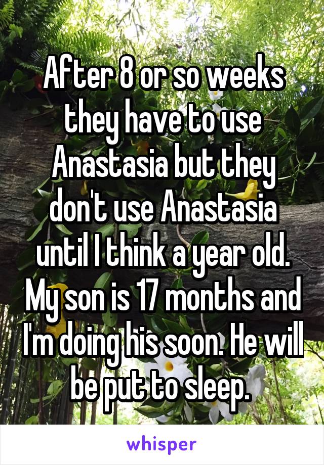 After 8 or so weeks they have to use Anastasia but they don't use Anastasia until I think a year old. My son is 17 months and I'm doing his soon. He will be put to sleep. 