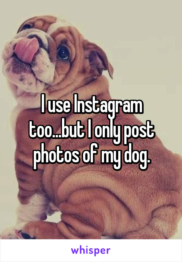 I use Instagram too...but I only post photos of my dog.