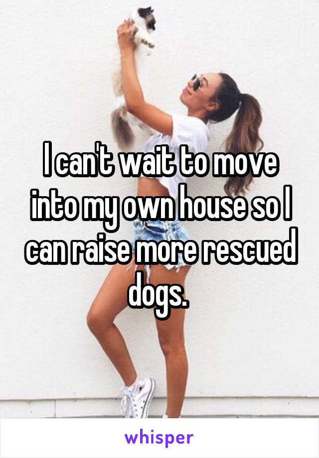 I can't wait to move into my own house so I can raise more rescued dogs. 