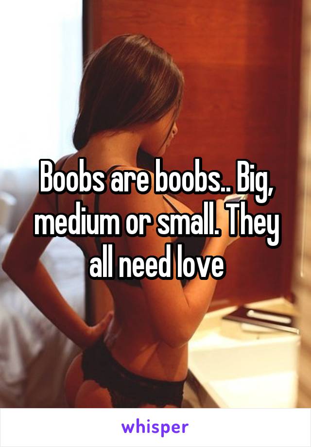 Boobs are boobs.. Big, medium or small. They all need love