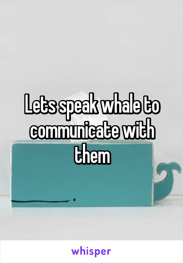 Lets speak whale to communicate with them